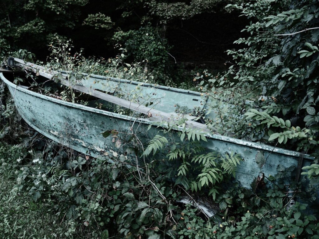 Fine art photography of an abandoned vehicle boat overgrown with vines and plants, reclaimed by nature.