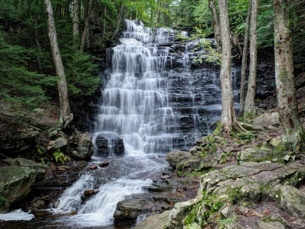 Forest Bathing thumbnail representing meditative nature fine art photography.