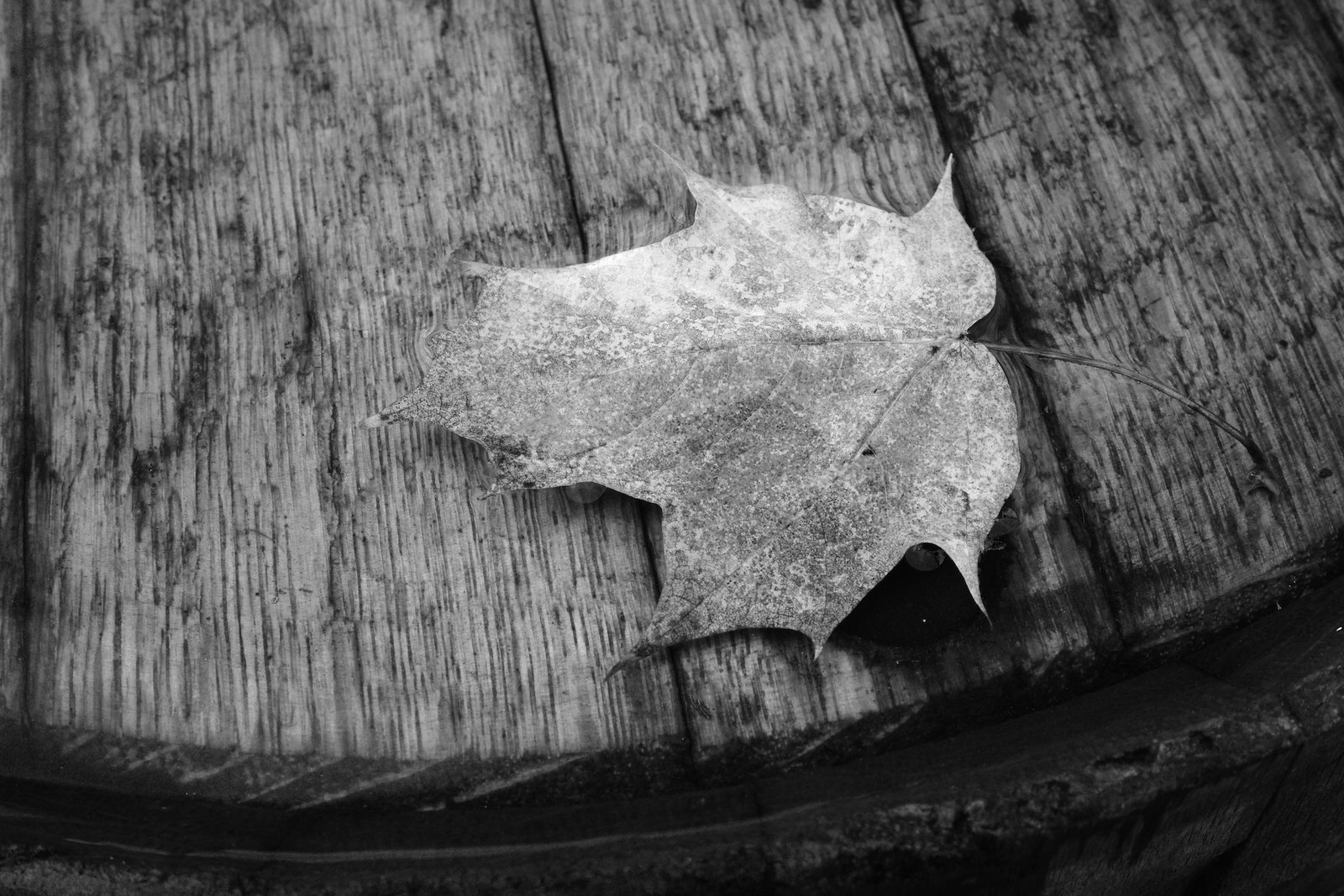 Discovering the Profound in Wabi-Sabi Philosophy and Aesthetics
