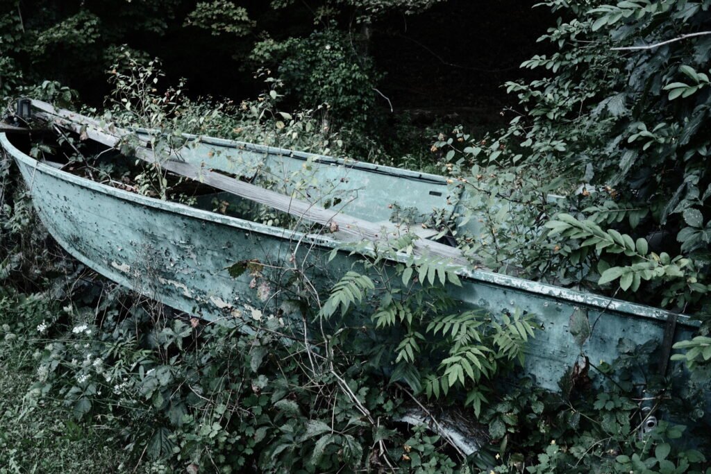 An old and weathered fishing boat being reclaimed by nature as plants and vines grow inside it and up its side.