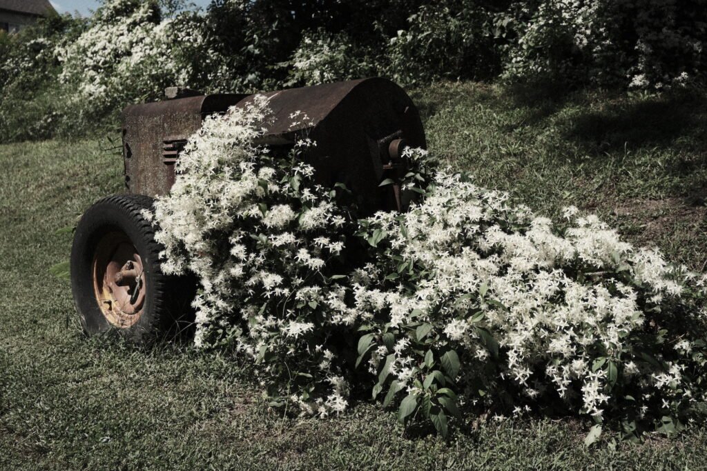 A construction human artifact being reclaimed by nature and vines and flowers engulf the piece of equipment.