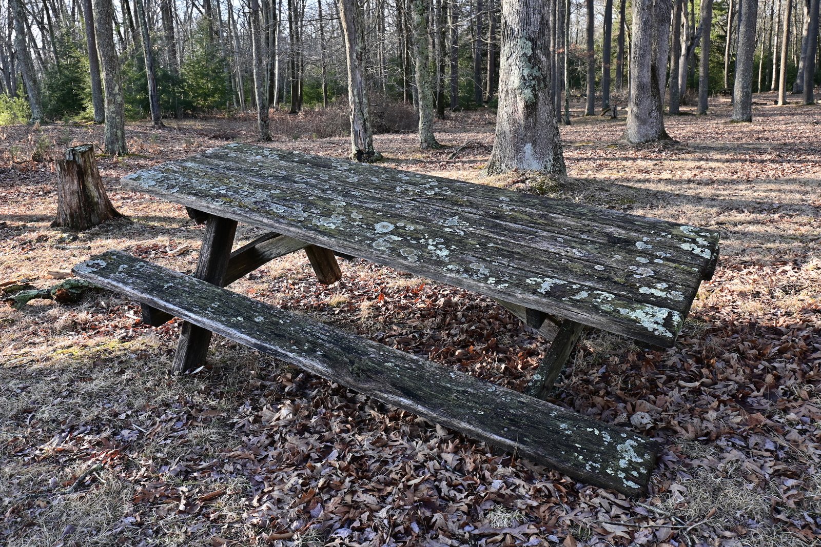 A Deeper Dive:  The 7 Core Principles of Wabi-Sabi