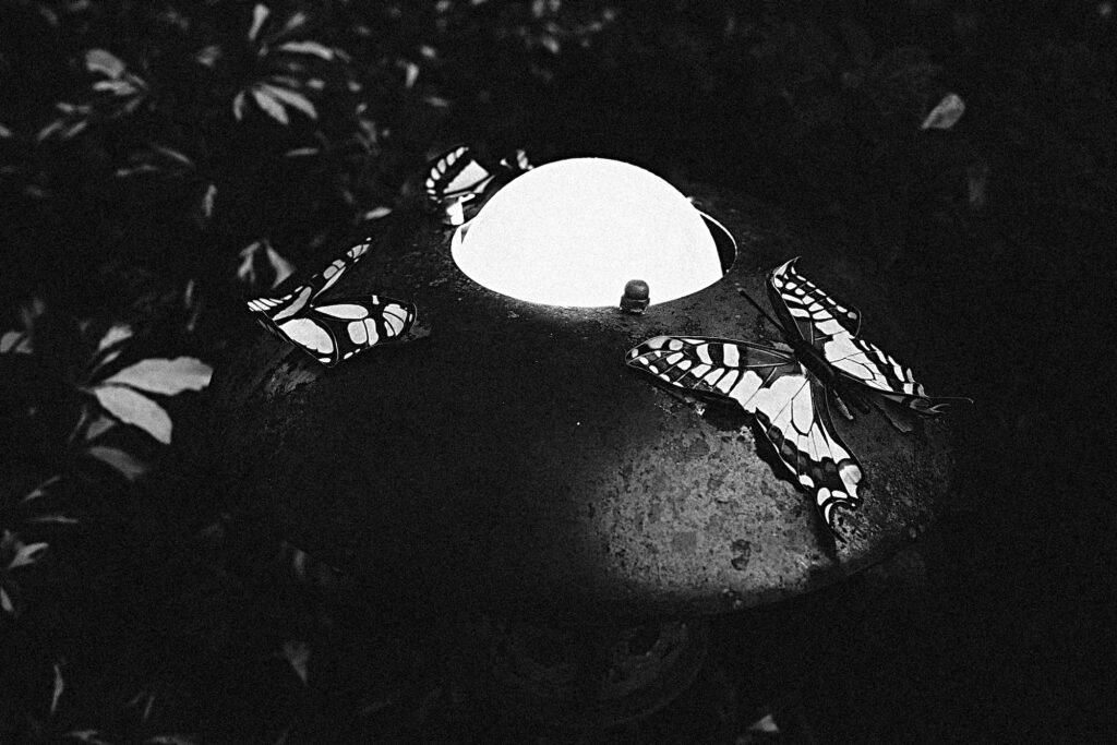 A gritty high contrast black and white image of a metal decorative garden light and butterfly with a dark and obscured background.