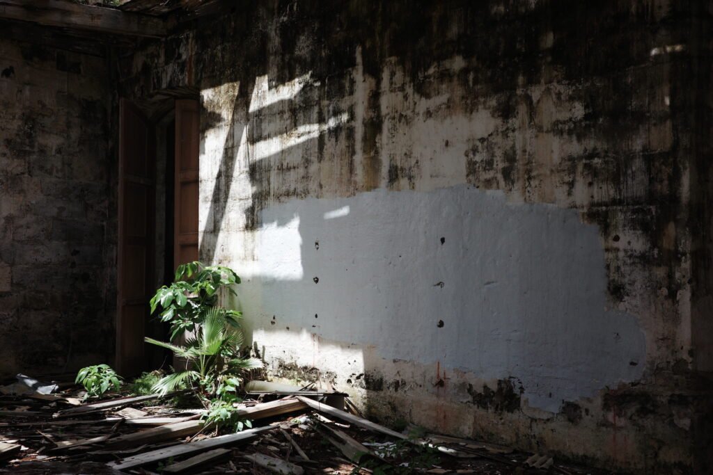 A shadowy interior space with faded concrete walls with brown and black smears. The floor is covered with fallen and broken wood boards, and a few tropical green plants grow in the back corner of this dilapidated space.