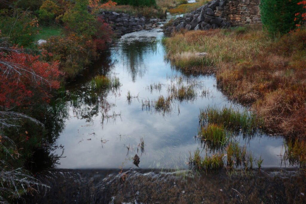 Rural image of a stream passing through a crumbling and broken stone dam and leading directly to the camera view. Grasses grow in the water and on the banks were plants and trees also grow with rich and muted autumn colors of gold, red, brown and soft green.
