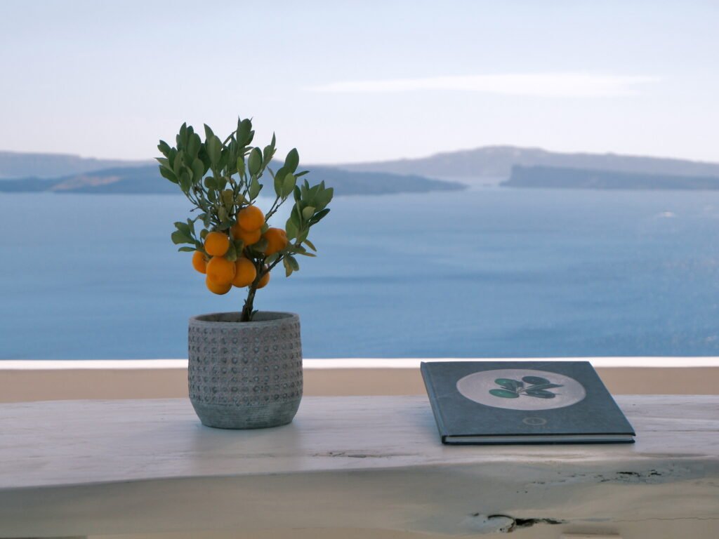 A still life photo of a small potted orange tree with a thin hardback book with faded olive green color next to it on a ledge overlooking the Santorini caldera in the background.